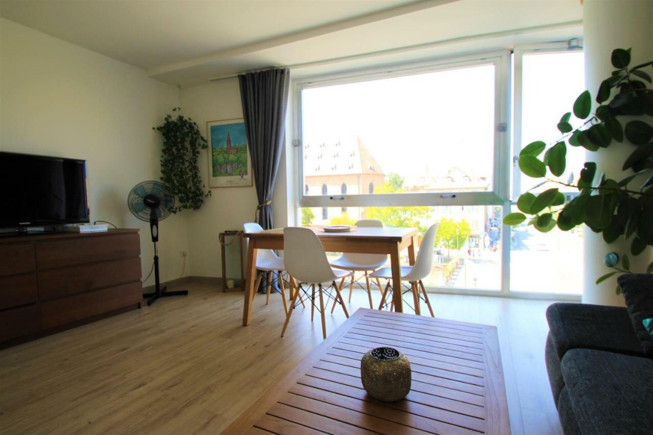 Au Coeur De Strasbourg, 3 Pieces Vue Sur L'Ill! Apartment Екстериор снимка